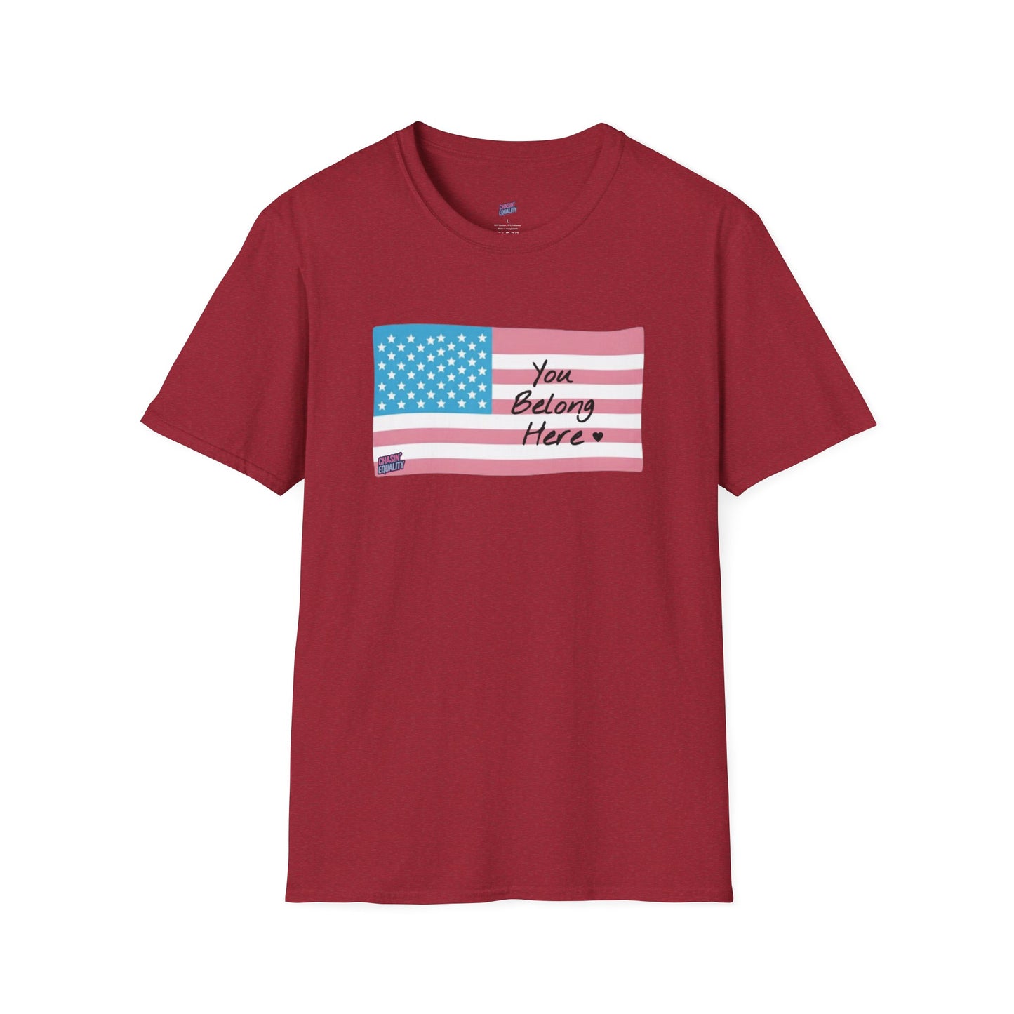 You Belong Here USA Trans Flag Tee