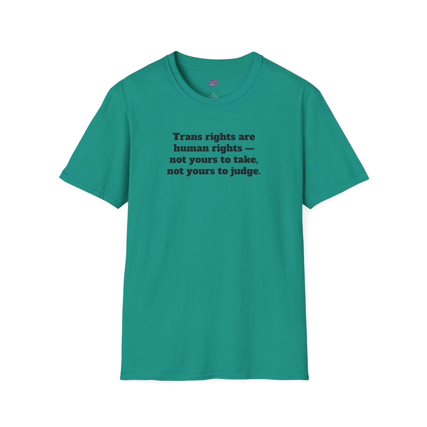 Trans rights are human rights Tee