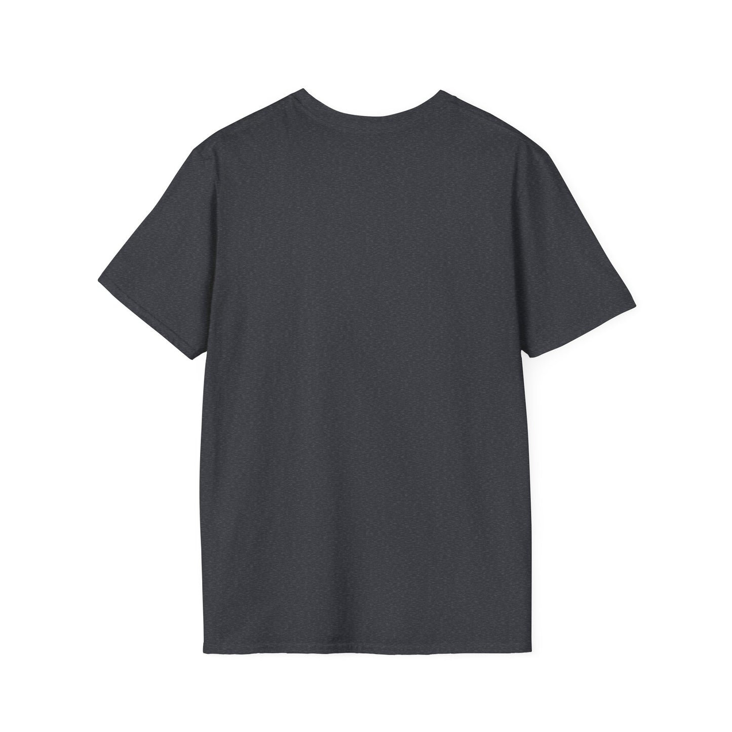 Trans People Belong Here Flag Tee