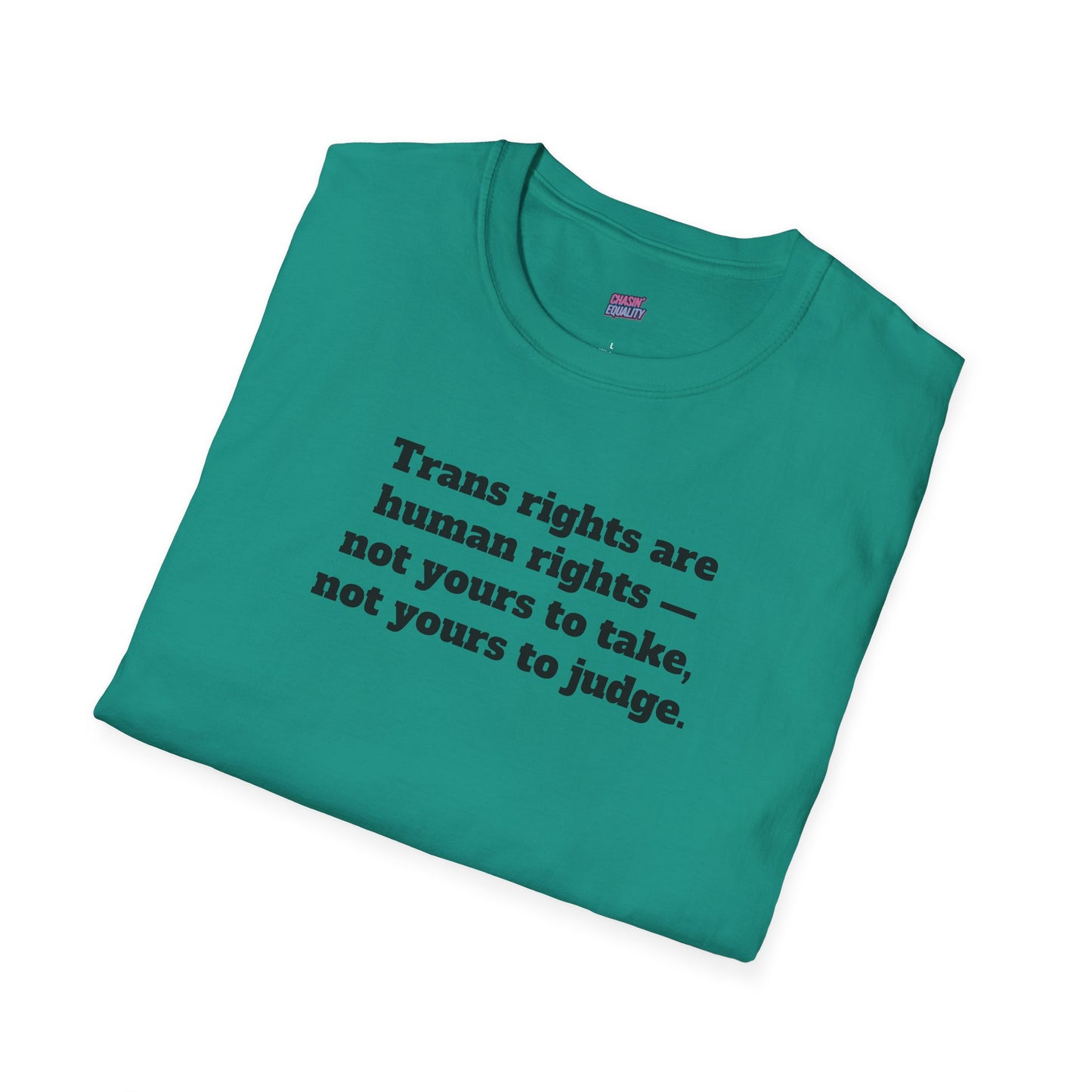Trans rights are human rights Tee