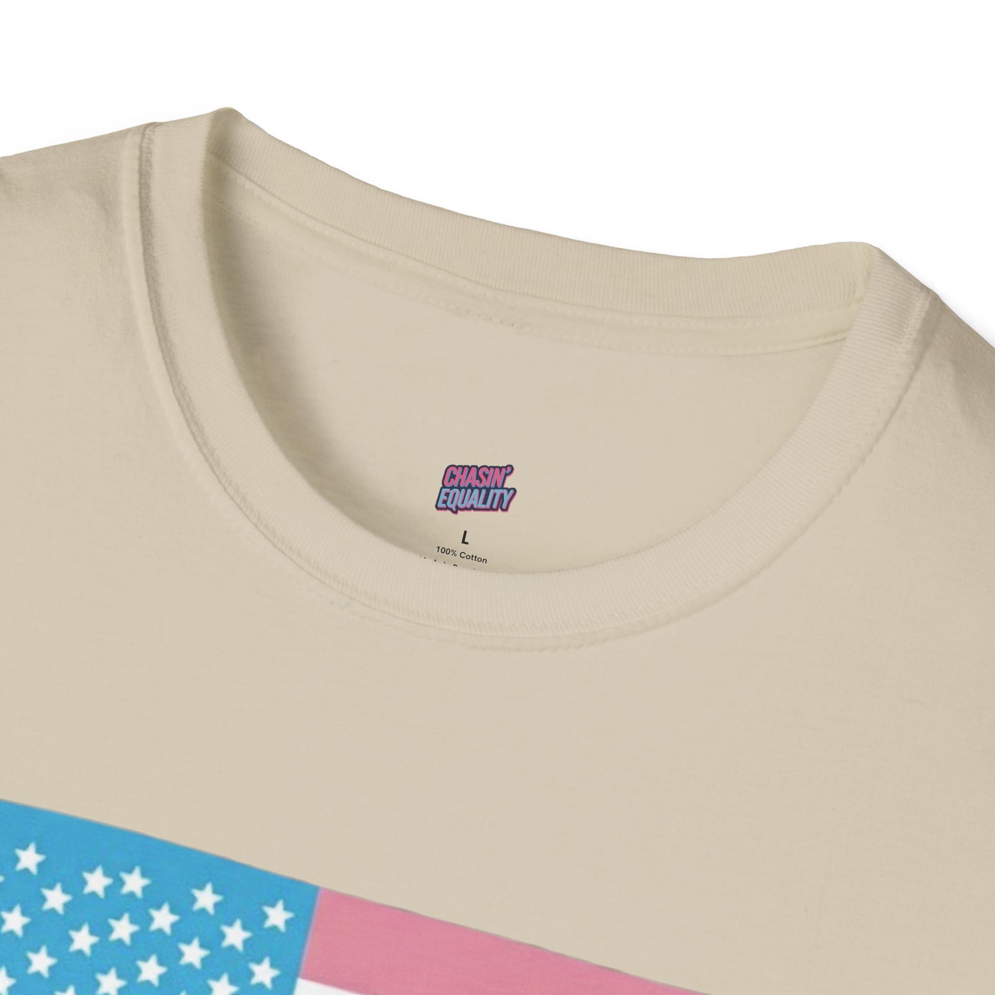 You Belong Here USA Trans Flag Tee