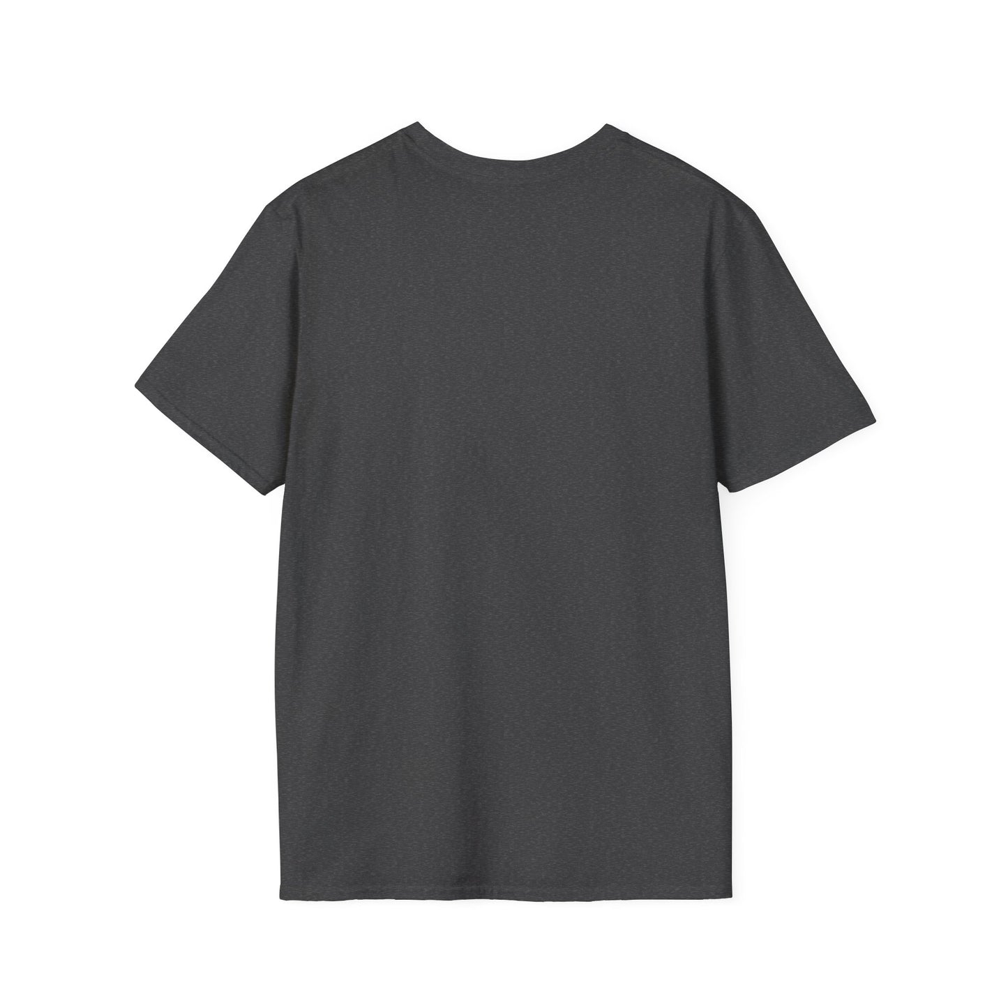 Trans People Belong Here Flag Tee