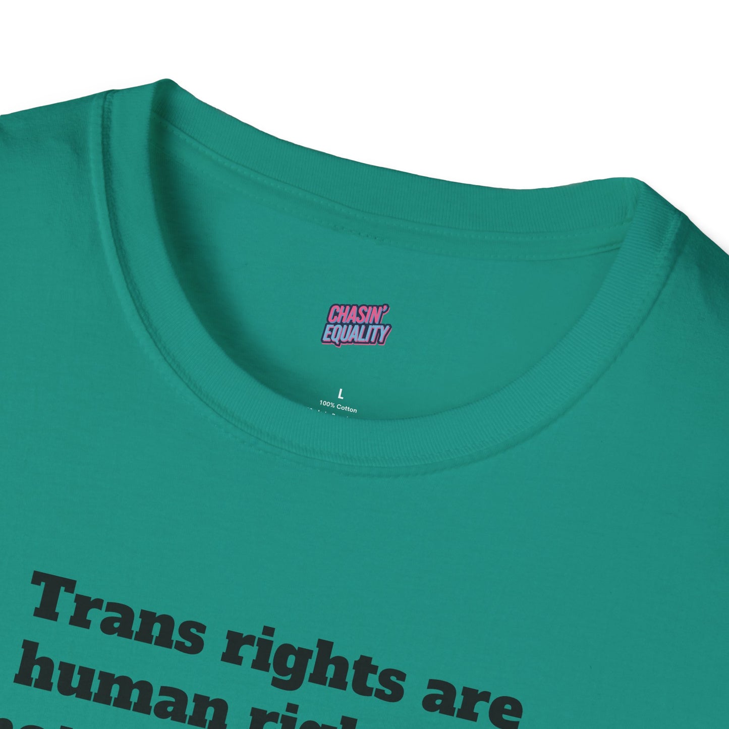 Trans rights are human rights Tee